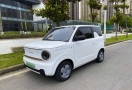 熊猫mini：漂亮姐姐的城市“萌”友