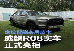 威麟R08实车亮相 定位智能实用皮卡