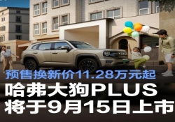 9 月 15 日重磅登场！哈弗大狗 PLUS 预售开启，11.28 万元起即可抢先预定